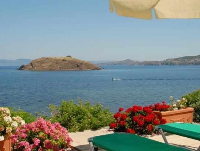 Birds Bay Resort Petra  Rum bild